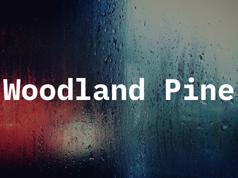 Woodland Pine