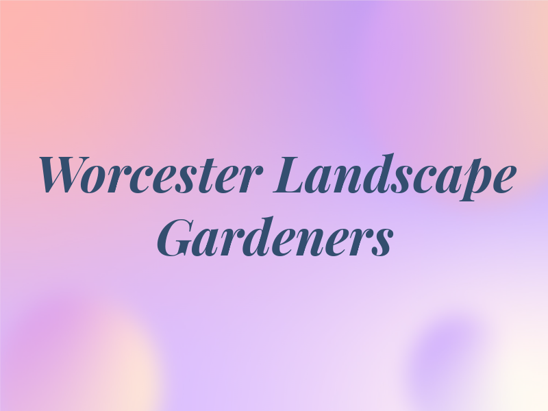 Worcester Landscape Gardeners