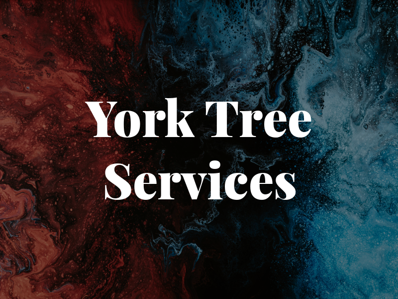 York Tree Services