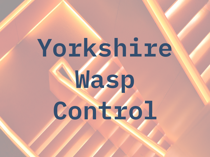 Yorkshire Wasp Control