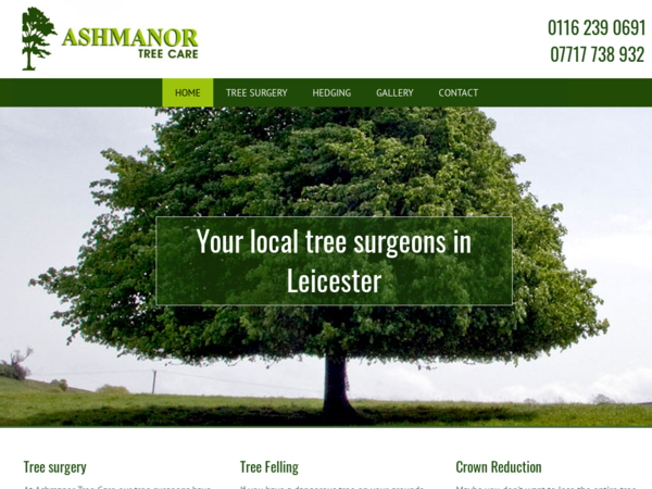 Ashmanor Tree Care