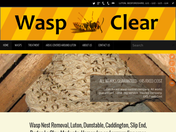 Wasp Clear