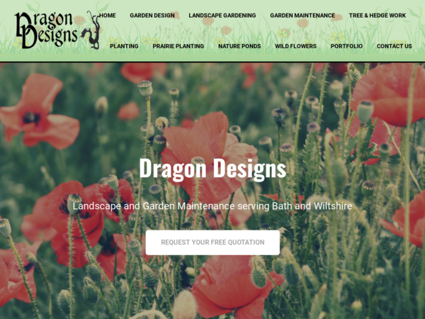 Dragon Designs Landscape