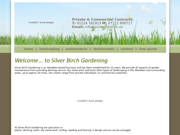 Silver Birch Gardening