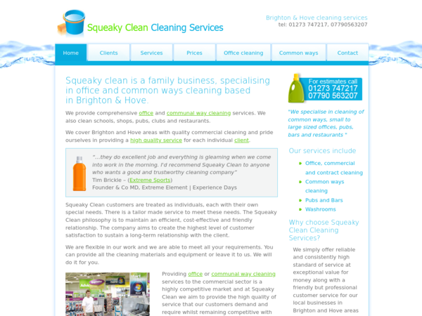 Squeaky Clean Cleaning Services