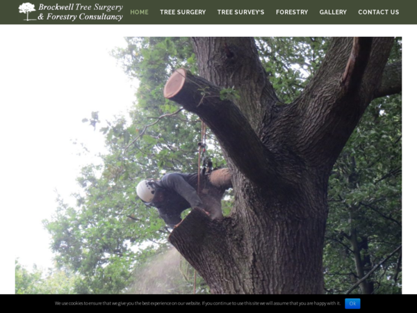 Brockwell Tree Surgery and Forestry