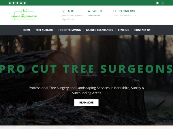 Pro Cut Tree Surgeons & Garden Services Ltd