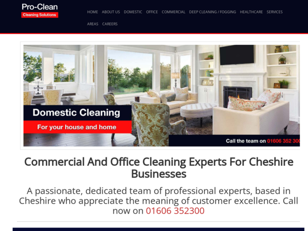 Pro-Clean Services