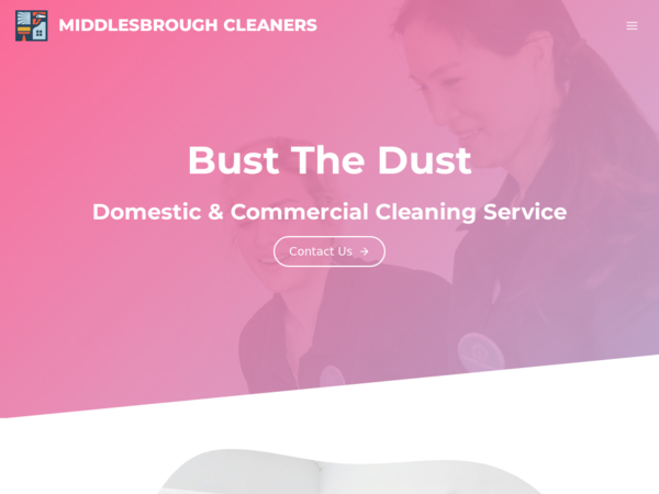 Bust the Dust Cleaning Services