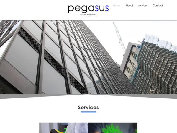 Pegasus Support Services Ltd