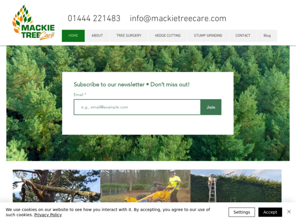 Tree Surgeon East Sussex by Mackie Tree Care
