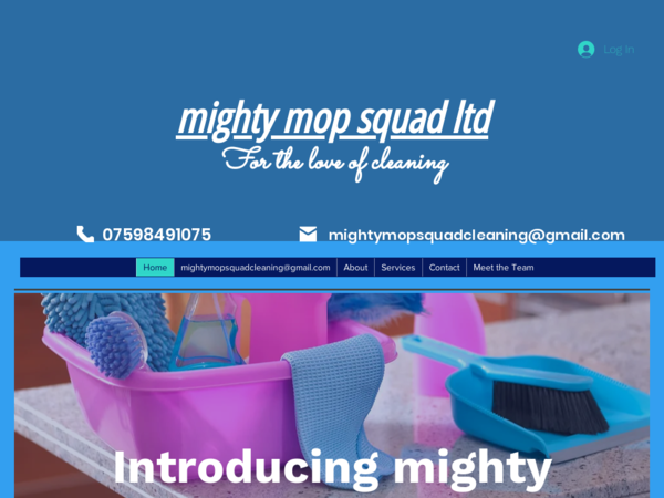 Mighty Mop Squad Ltd