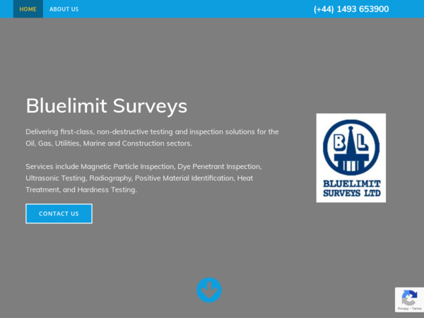 Bluelimit Surveys Ltd