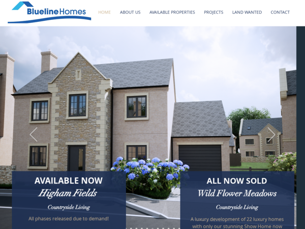 Blue Line Homes