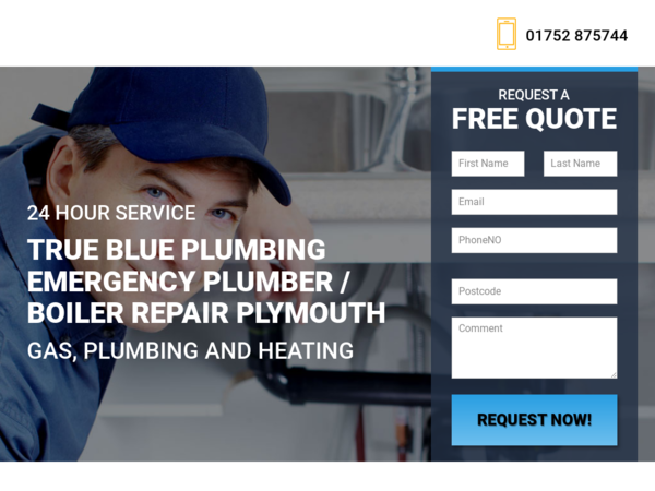 True Blue Plumbing Emergency Plumber / Boiler Repair Plymouth