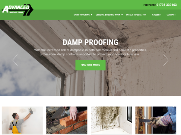 Advanced Damp Timber