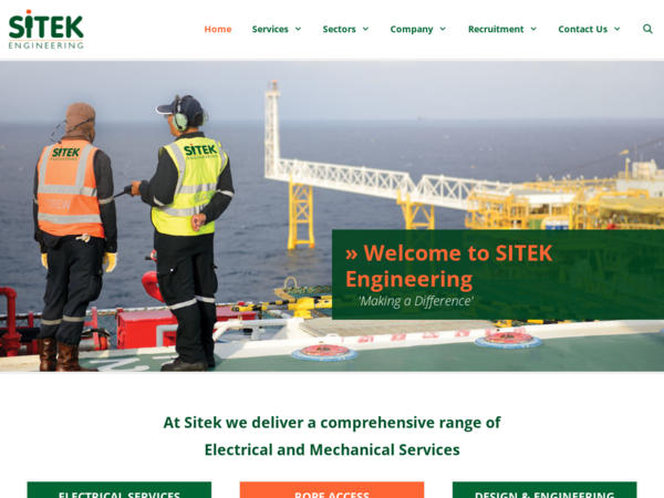 Sitek Consultancy Services