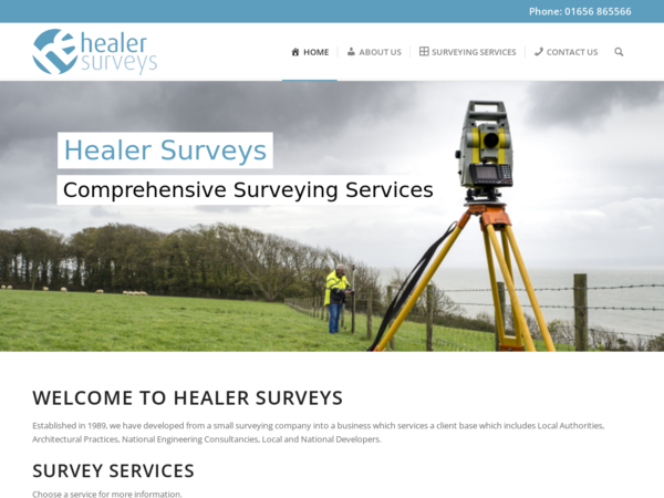 Healer Surveys