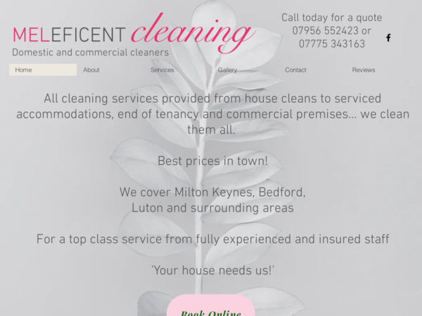 Meleficent Cleaning