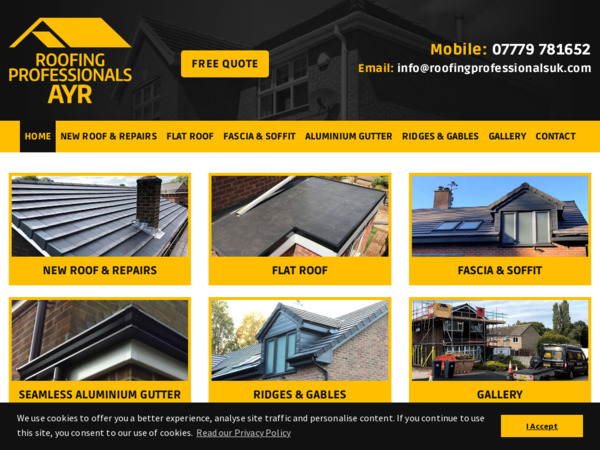 Roofing Professionals Ayr