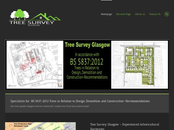 Tree Survey Glasgow