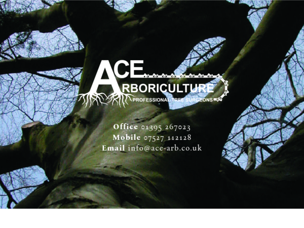 ACE Arboriculture Ltd