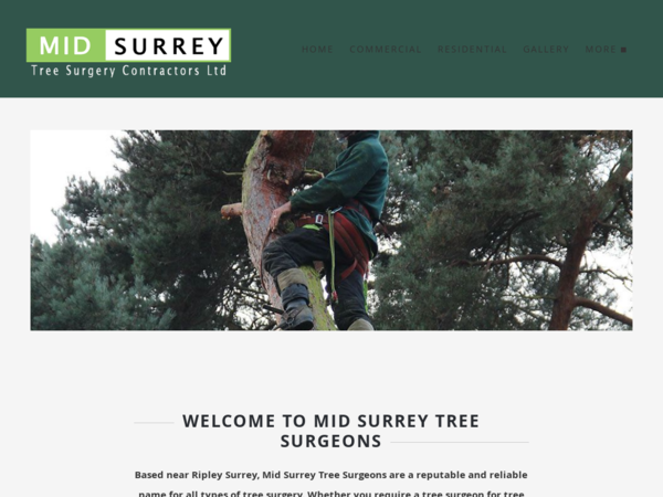 Mid Surrey Tree Surgeons