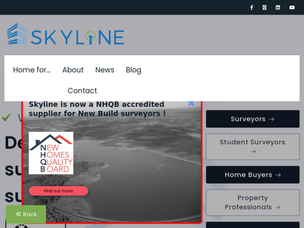 Skyline Surveyors