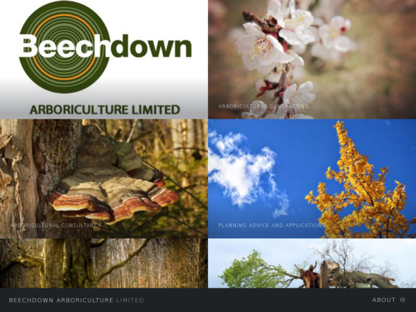 Beechdown Arboriculture Ltd