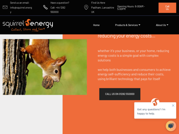 Squirrel Energy Group Ltd