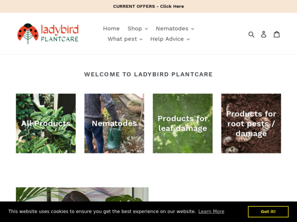 Ladybird Plant Care