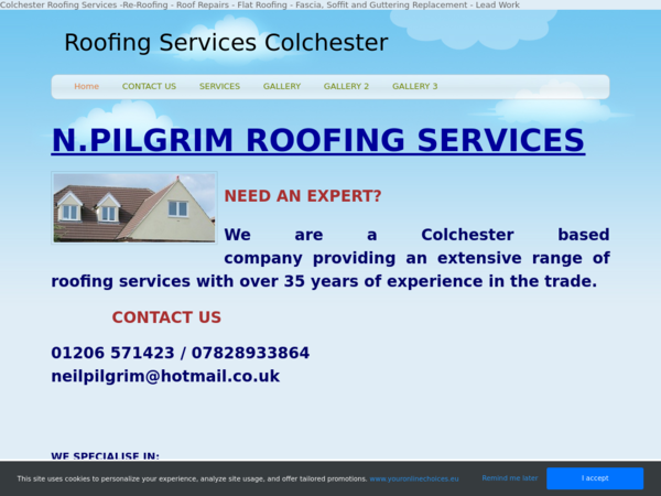 N Pilgrim Roofing Services