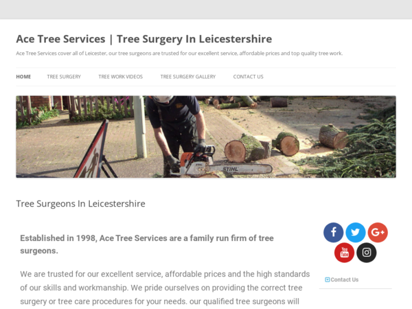 Ace Tree Services