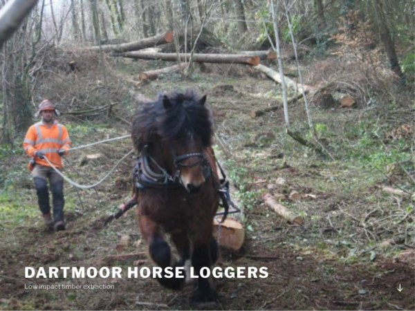 Dartmoor Horse Loggers