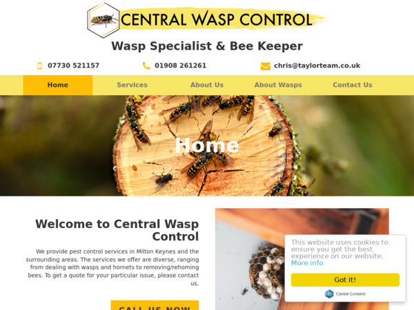 Central Wasp Control