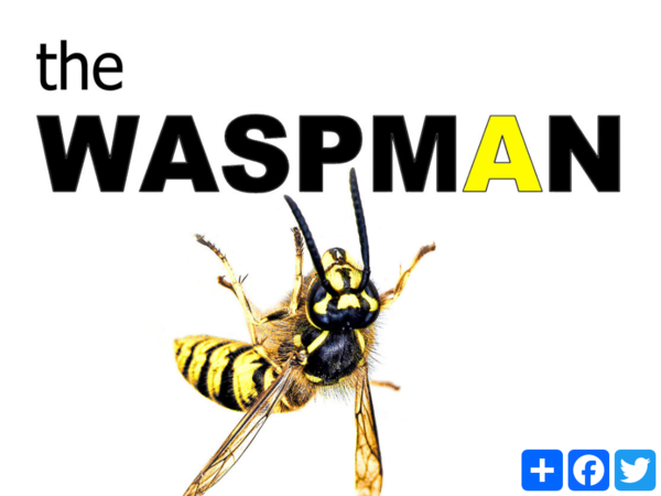 Thewaspman