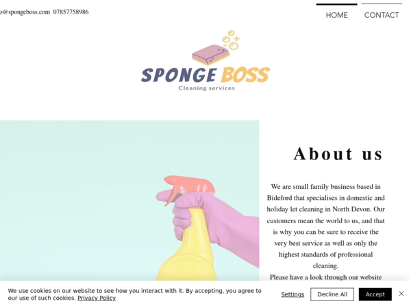 Sponge Boss Cleaning Services