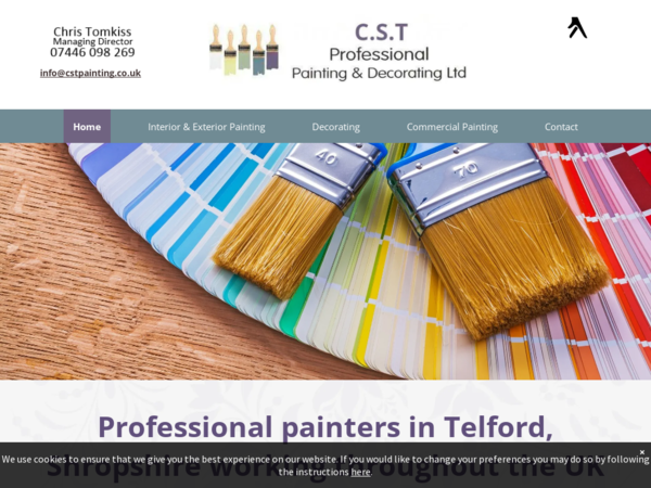 C.s.t Professional Painting & Decorating