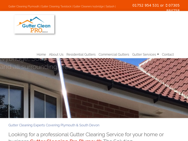 Gutter Clean Pro