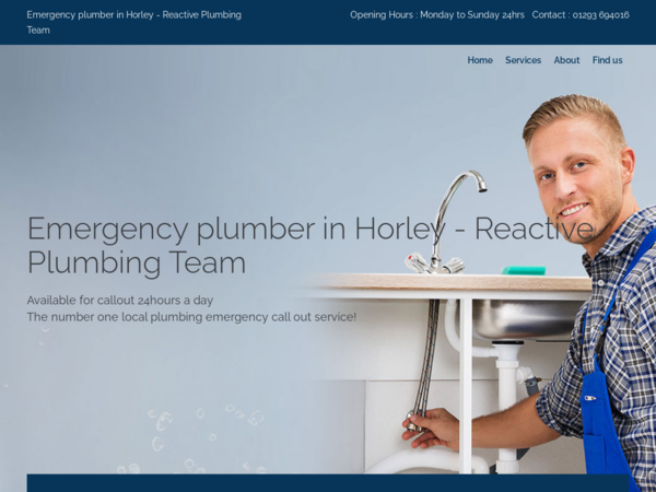 Emergency Plumber in Horley