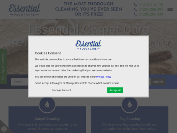 Essential Carpet Care