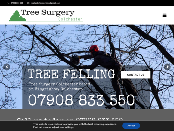 Tree Surgery in Colchester