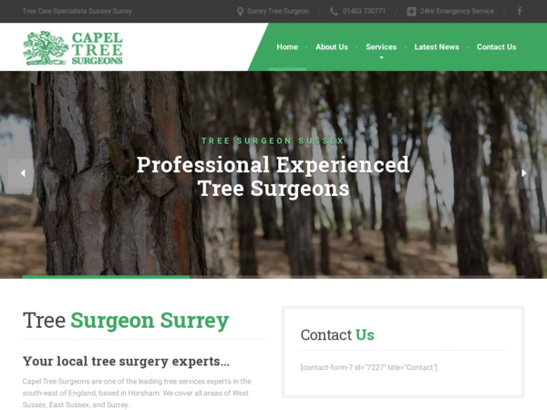 Capel Tree Surgeons