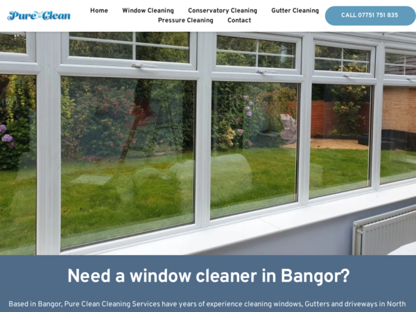 Pure Clean Window Cleaning