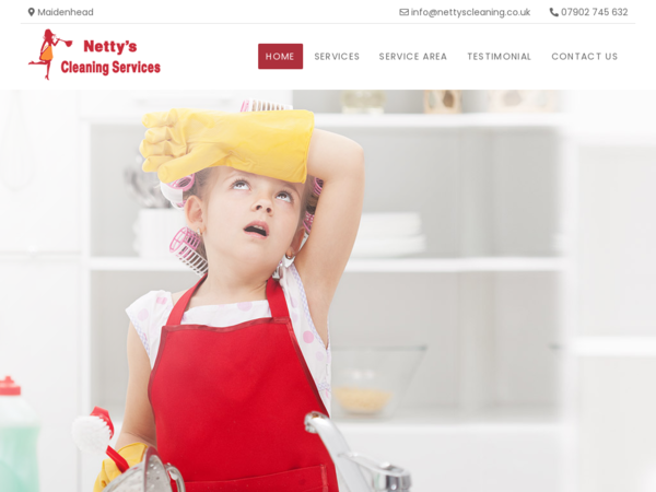 Netty's Domestic Cleaning