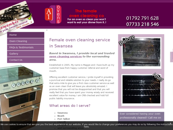 Oven Cleaning Services