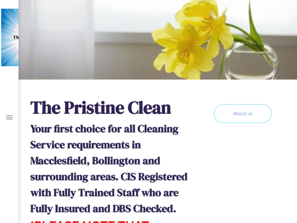 The Pristine Clean