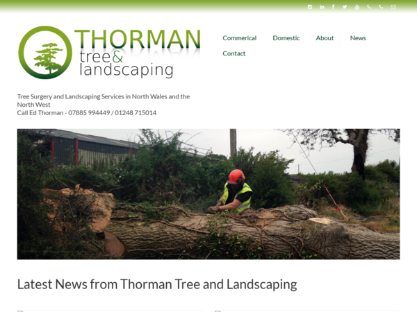 Thorman Tree Surgery & Landscaping