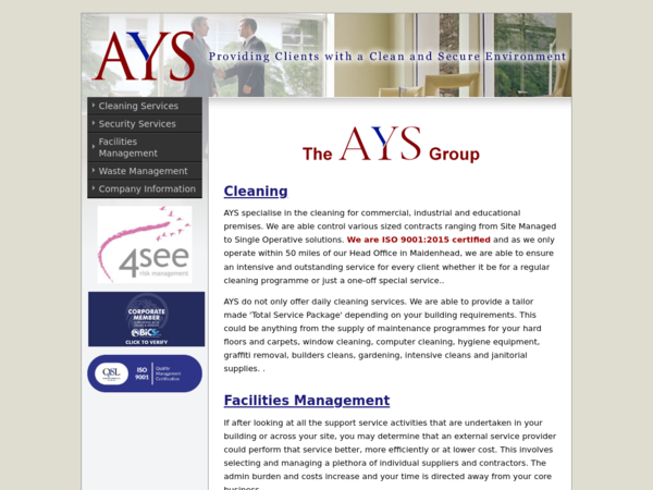 The Ays Group