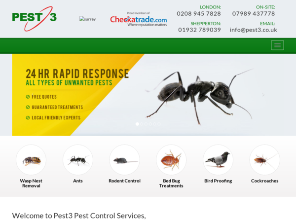 Pest 3